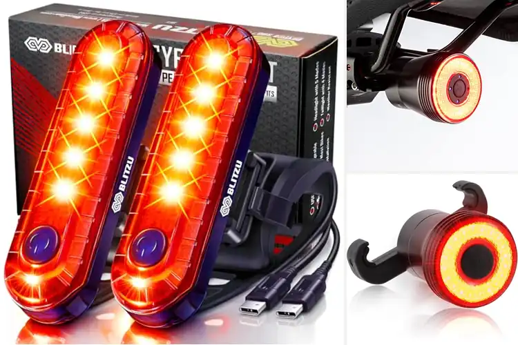 Detailed view of Best Bike Lights for Saddle Rears