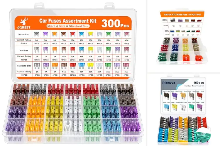 Detailed view of Best Blade-Style Fuses