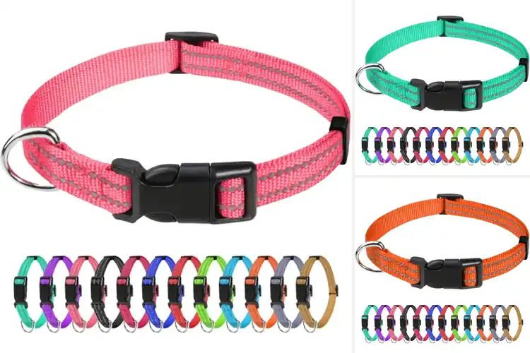 Detailed view of Best Classic Color Puppies