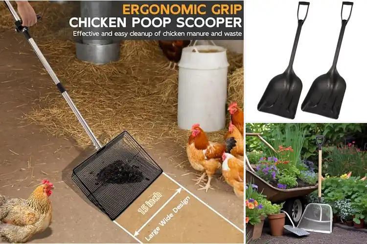 Detailed view of Best Goat Stall Shovels