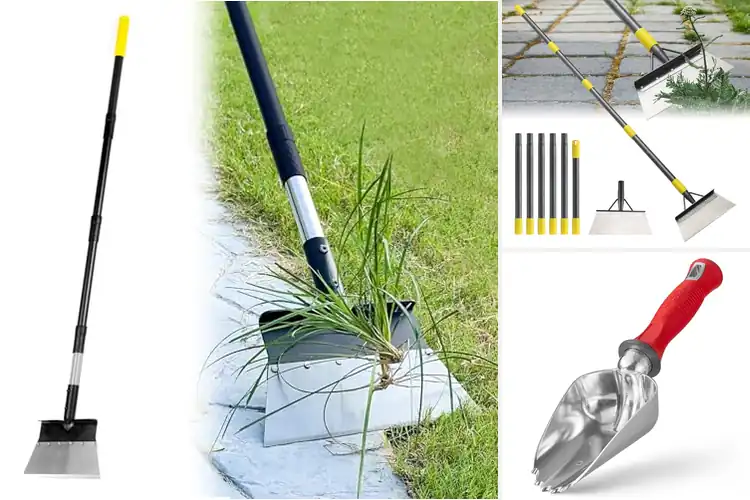 Detailed view of Best Heavy Duty Shovel For Soil Cleaning