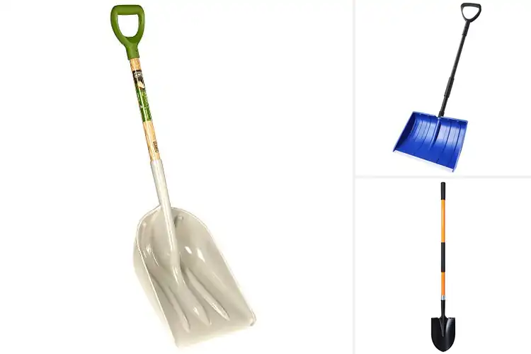 Detailed view of Best Heavy Duty Shovels: Top Picks for Tough Jobs & Comfort