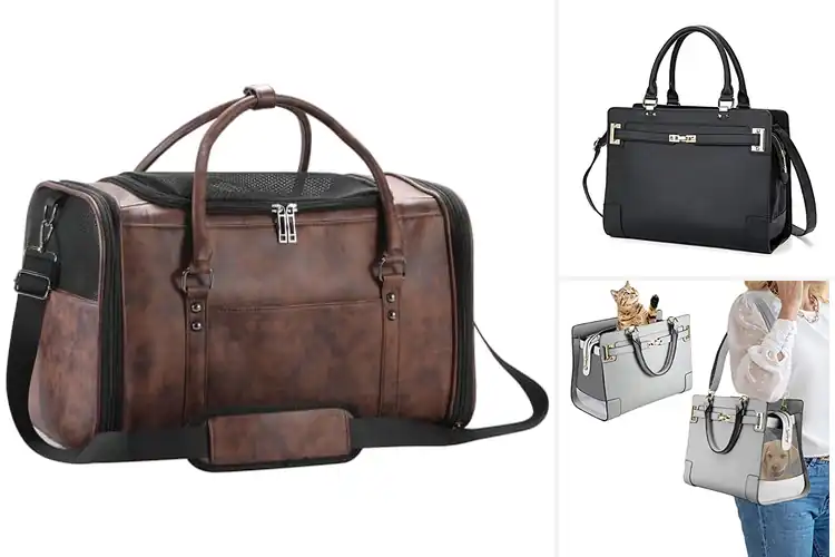 Detailed view of Best Leather Pet Carriers
