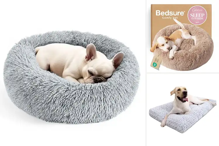 Detailed view of Best Machine Washable Plush Puppies