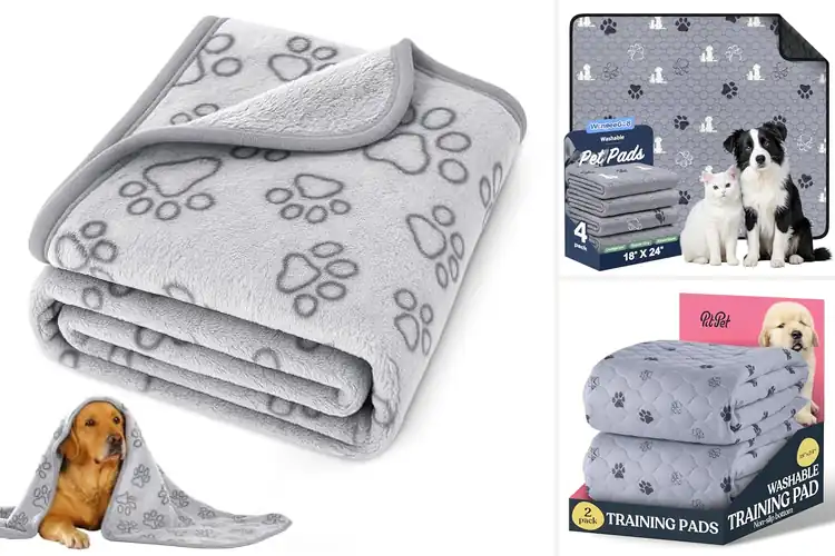 Detailed view of Best Machine Washable Puppies