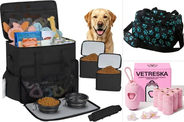 Detailed view of Best Multi-functional Pet Bags