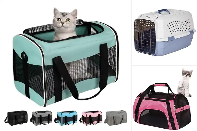 Detailed view of Best Pet Carriers
