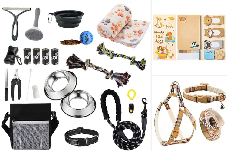 Detailed view of Best Puppy Gift Sets