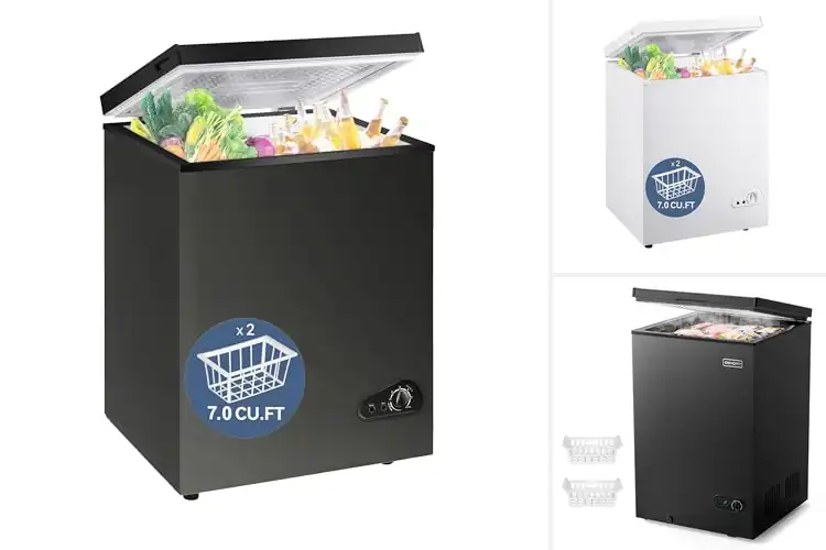 Detailed view of Best Quiet Chest Freezers