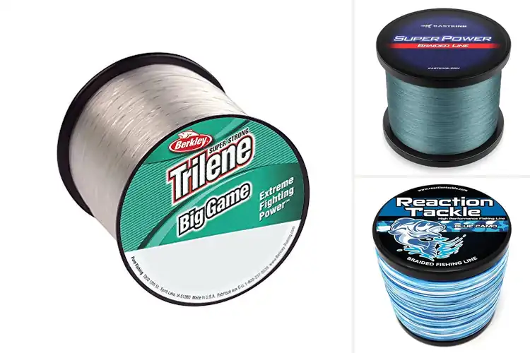 Detailed view of Best Saltwater Fishing Lines