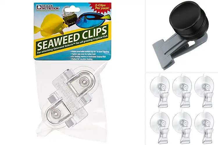 Detailed view of Best Seaweed Clips