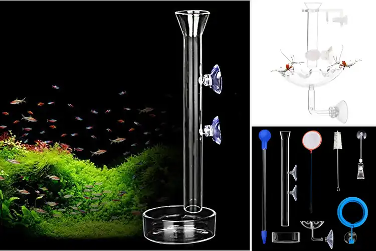 Detailed view of Best Shrimp Feeders: Top 10 Picks for a Clean, Happy Tank