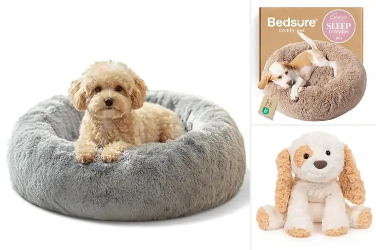 Detailed view of Best Washable Plush Puppies