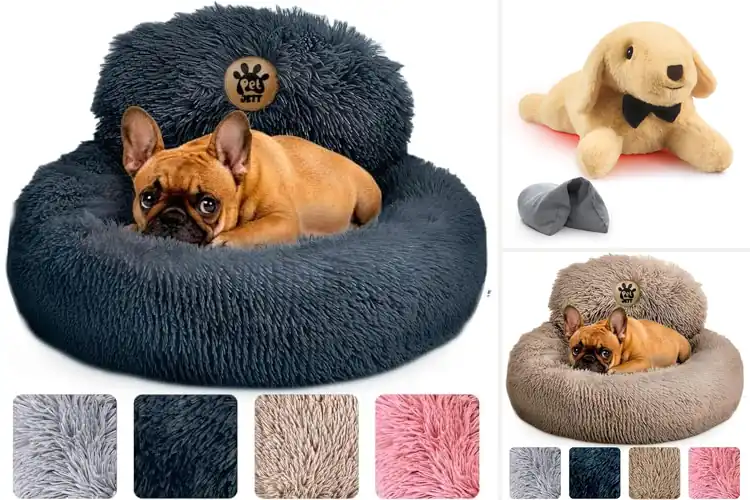 Detailed view of Best Washable Puppy Plushies