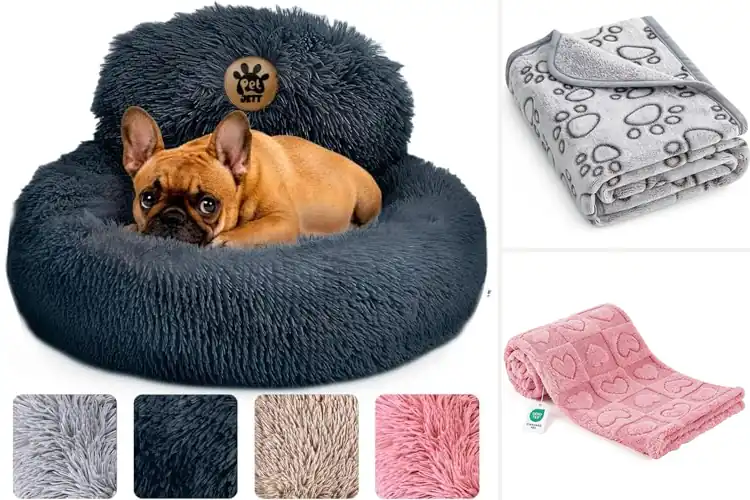 Detailed view of Best Washable Soft Plush Puppies