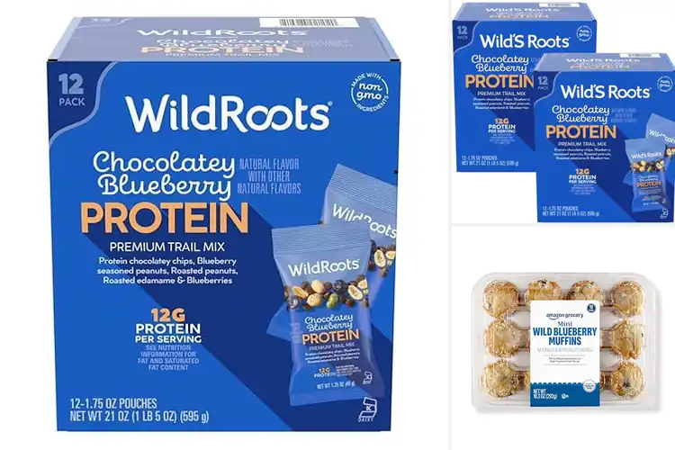 Detailed view of Best Wild Blueberry Snacks
